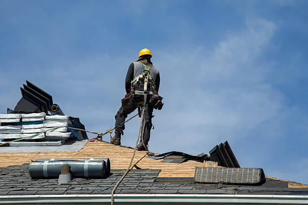 Professional Gutter Installation technician working in Elmwood, NE